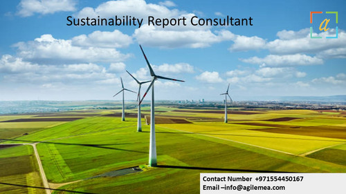 Sustainability report consultant 1.jpg