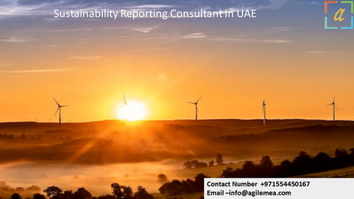 Sustainability Reporting Consultant In UAE.png