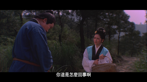 vlcsnap 2024 03 21 17h50m00s875.png