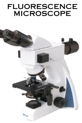 Fluorescence Microscope.jpg