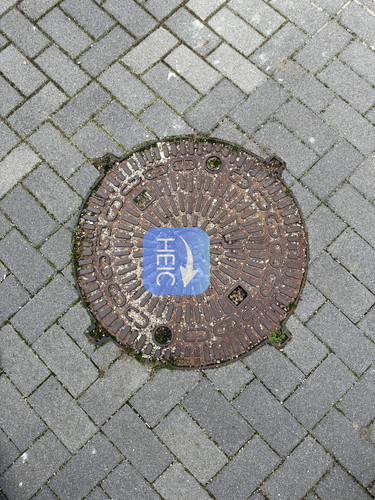 1000006249.jpg