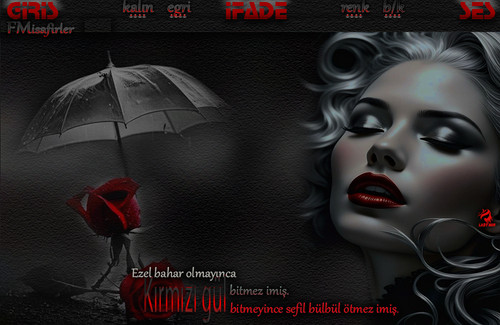 Lady Nur Ezel bahar olmayınca.jpg