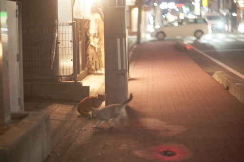 A7C03214.jpg