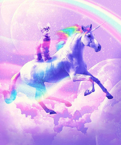 aesthetic kitty riding galaxy unicorn zgidt2xui3asyzwk.jpg