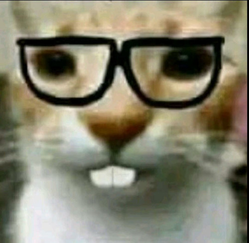 image.jpg