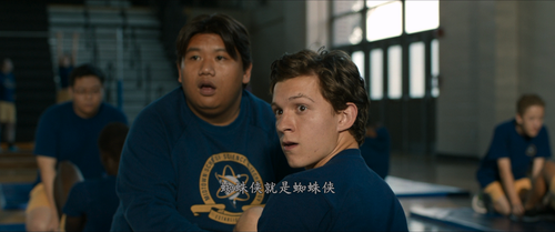 Spider Man.Homecoming.2017.UHD.BluRay.2160p.TrueHD.Atmos.7.1.x265.10bit.HDR BeiTai.mkv 20240115 0933.png