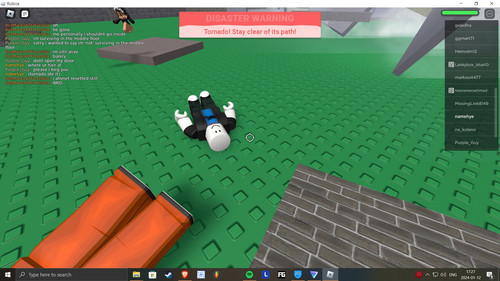 RobloxPlayerBeta zrip8pjt2b.jpg