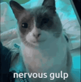 1705211108562155.gif