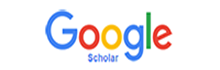 New google Scholar.png
