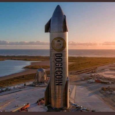 doge rocket.jpg