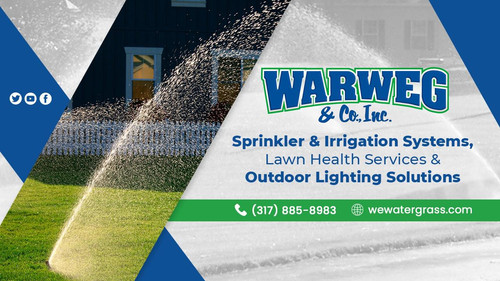 Warweg & Co., Inc. Banner.jpg