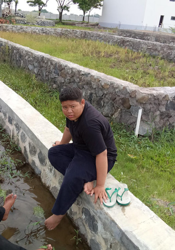image.jpg