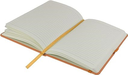 618SPpny1NL. AC SX425 .jpg