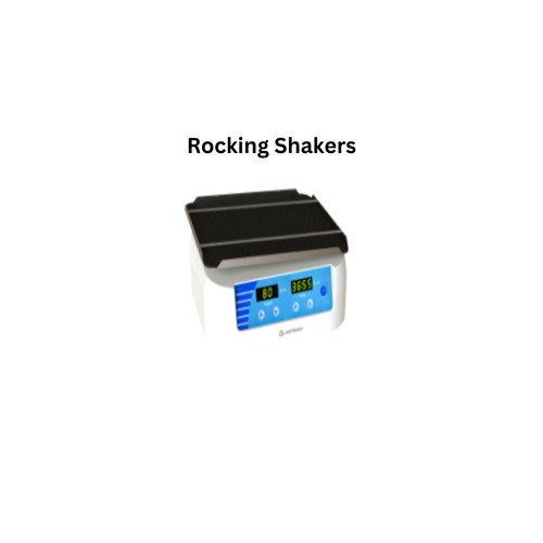 Rocking Shakers.jpg