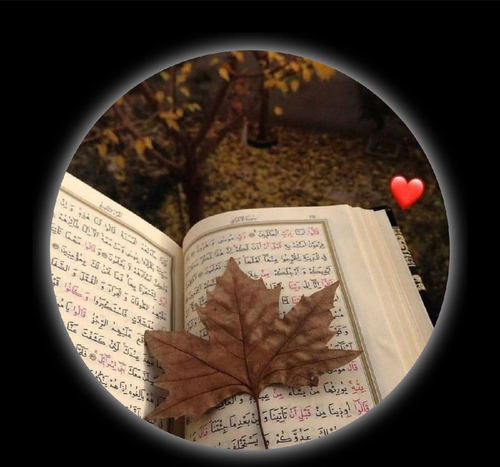 IMG 20231128 123743.png