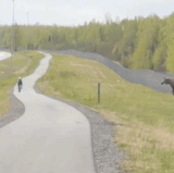 cBPlt9K.gif