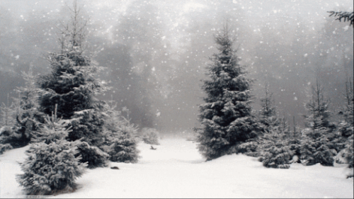 1gif 1 ab9e260a90.gif