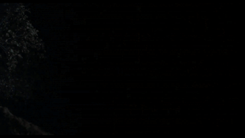 ezgif 4 6907d61e9c.gif