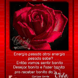 69656748 764087997368109 6534020759147249664 n.gif