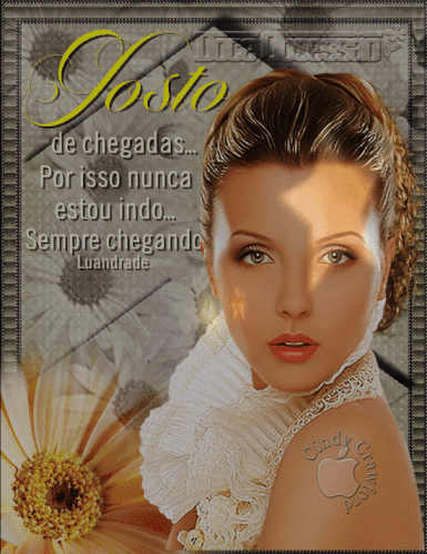 0 79400 ddb82638 XL.gif