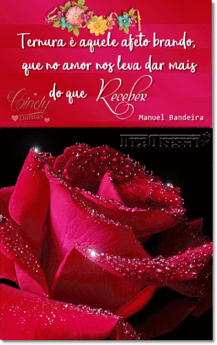 69511006 2421446001269846 6599500748210307072 n.gif