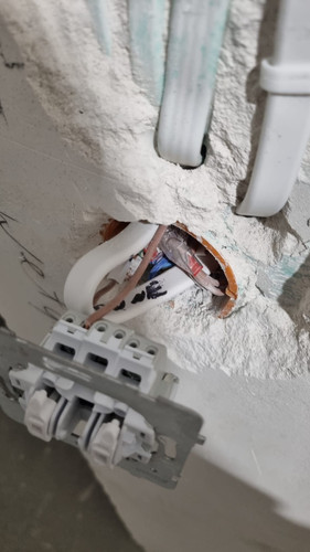 Zdjęcie WhatsApp 2024 01 12 o 01.24.25 ff514202.jpg