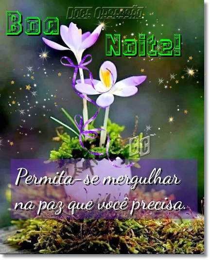 340095609 619232512984408 3188496383827302567 n.jpg