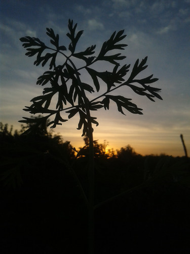 ٢٠٢٤٠١١٢ ١٧٠٦١٦.jpg