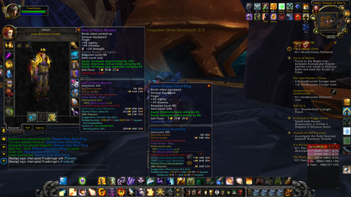 WoWScrnShot 011324 005847.jpg