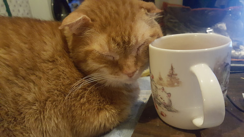 2019 12 22 19 01 02.jpg