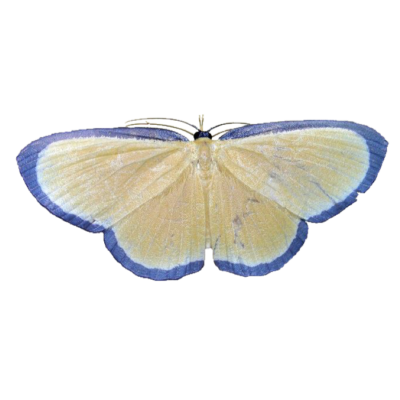 Untitled262 20240112193023.png