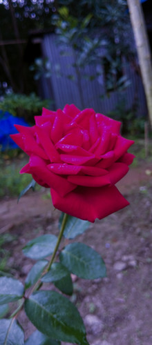 IMG 20240101 104234.jpg