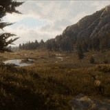 1705118934 1397746683.gif