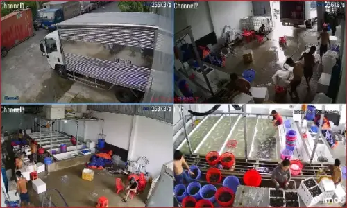 ap dat camera quan s195161t quan 8 9.webp