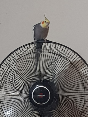 images%2Fimage 1705288010904.jpg