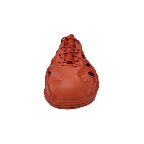 IMG 20240107 150418 Background Removed.jpg