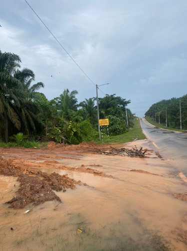 WhatsApp Image 2024 01 12 at 11.28.19 AM.jpg