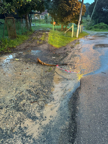 WhatsApp Image 2024 01 12 at 10.10.49 AM.jpg