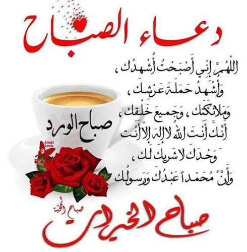 images%2Fimage 1705033216847.jpg