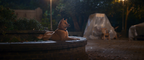 Hachiko.2023.2160p.WEB DL.DDP5.1.Atmos.H265 MISS.mkv 20240112 110352.078.png