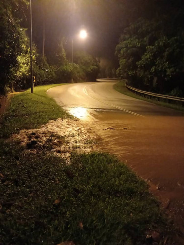 WhatsApp Image 2024 01 12 at 8.55.13 AM.jpg