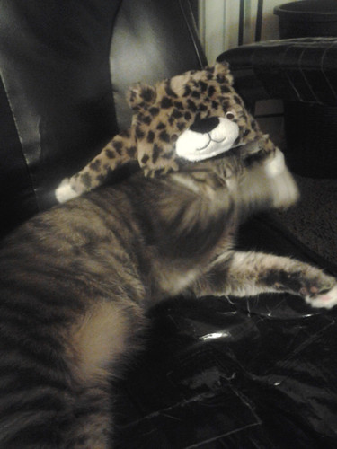 IMG 20140126 200542.jpg