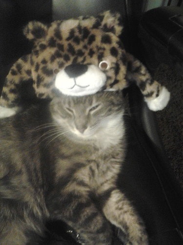 IMG 20140126 200534.jpg