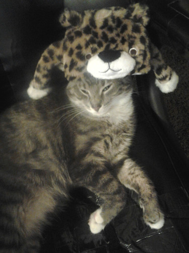 IMG 20140126 200530.jpg