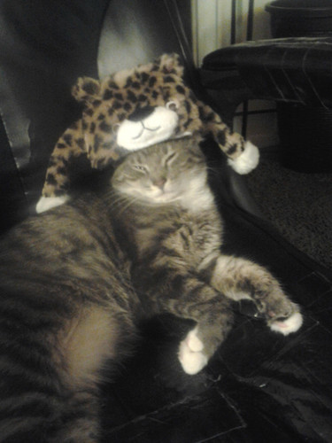 IMG 20140126 200539.jpg