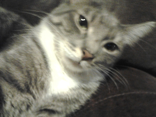 IMG 20140406 215437.jpg