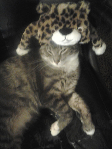 IMG 20140126 200527.jpg