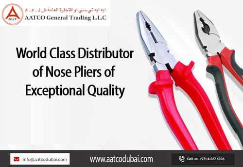 nose plier suppliers in dubai.png