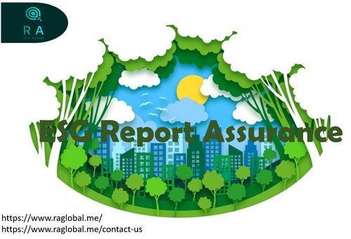 What you need to know about ESG Report Assurance?.png