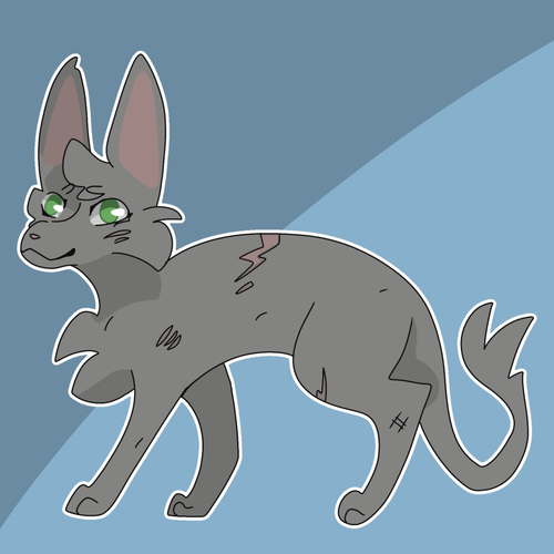 IMG 0639.png
